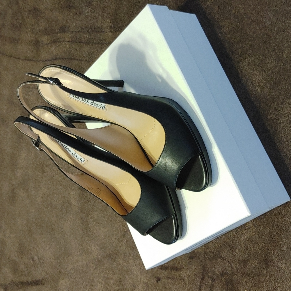 ✨NIB✨ Charles David "Stills" Black Slingbacks